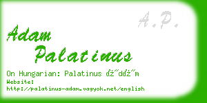 adam palatinus business card